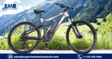 Europe E-Bike Market