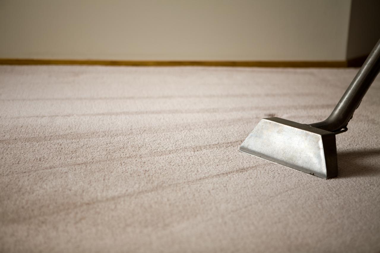 The Science Behind Carpet Cleaning in Sydney