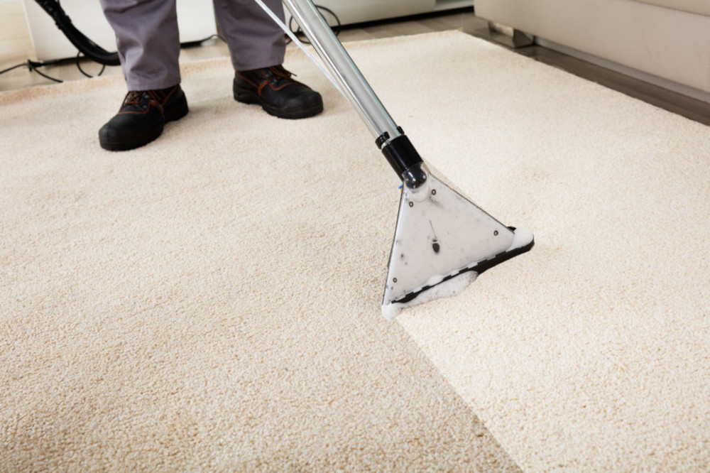 What Is the Most Efficient Method of Cleaning Carpet?
