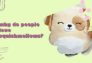 Why Do People Love Squishmallows?