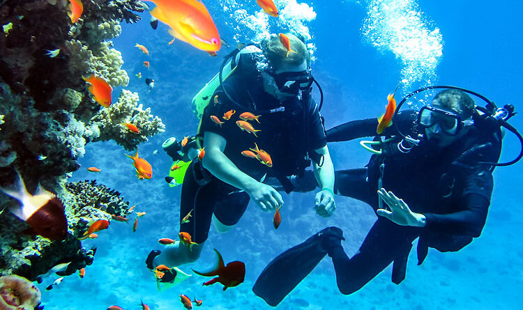 Offbeat_The Thrills Of Scuba Diving