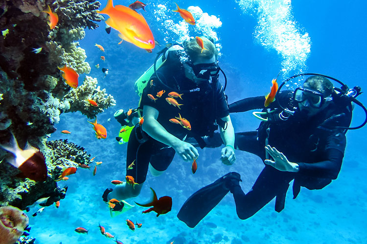 Offbeat_The Thrills Of Scuba Diving