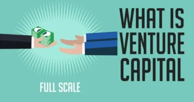 venture capital advantages and disadvantages